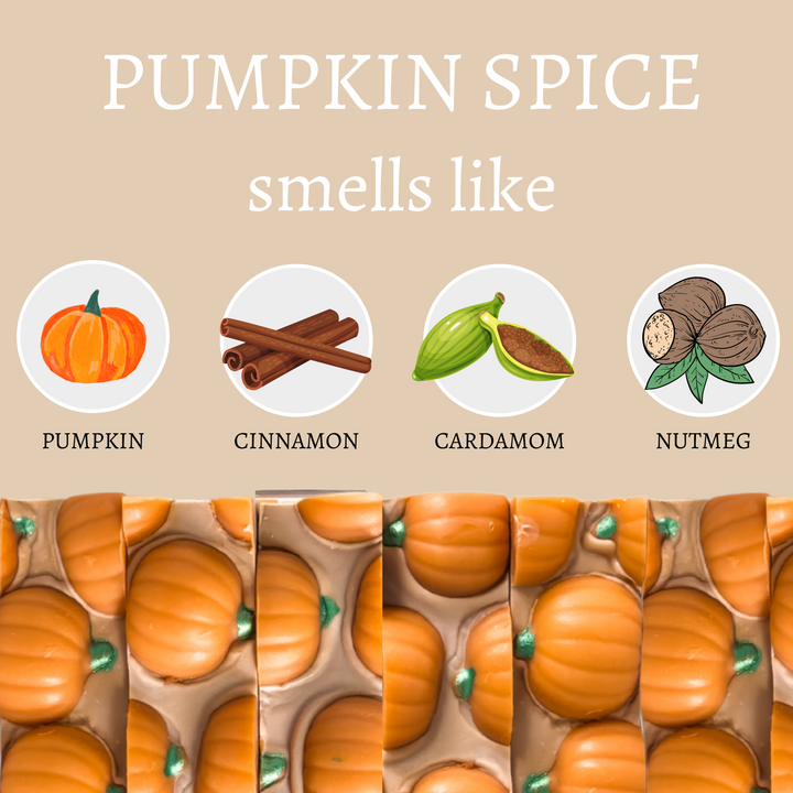 Pumpkin Spice Handmade Soap Bar (4oz)